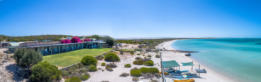Copy of Dirk Hartog