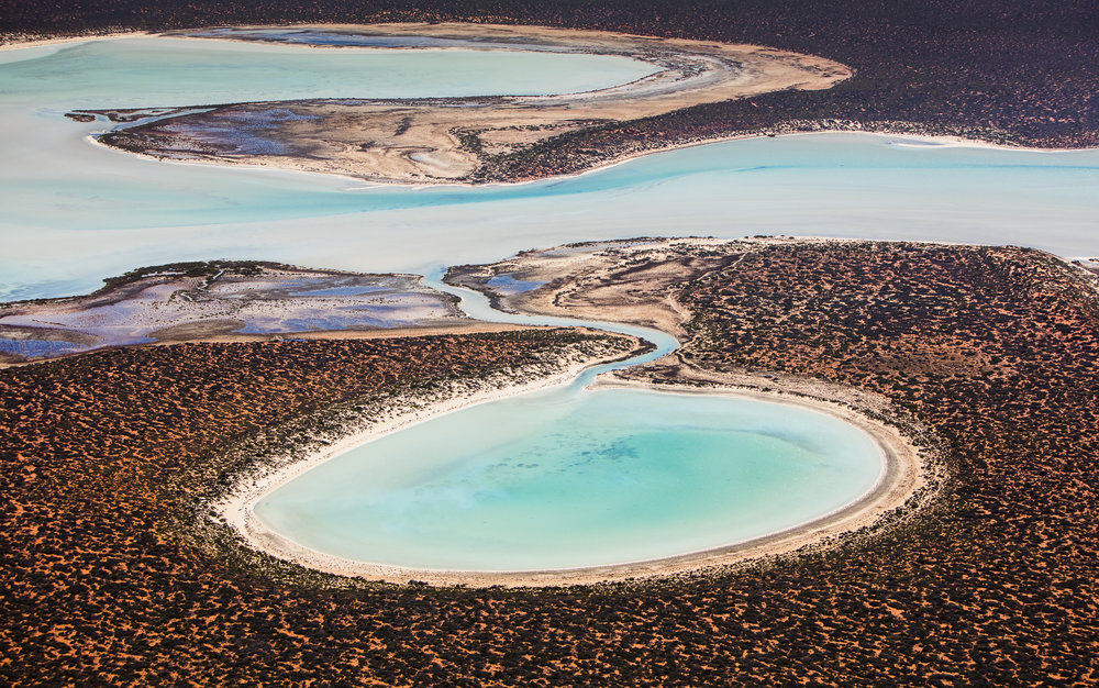Big Lagoon 