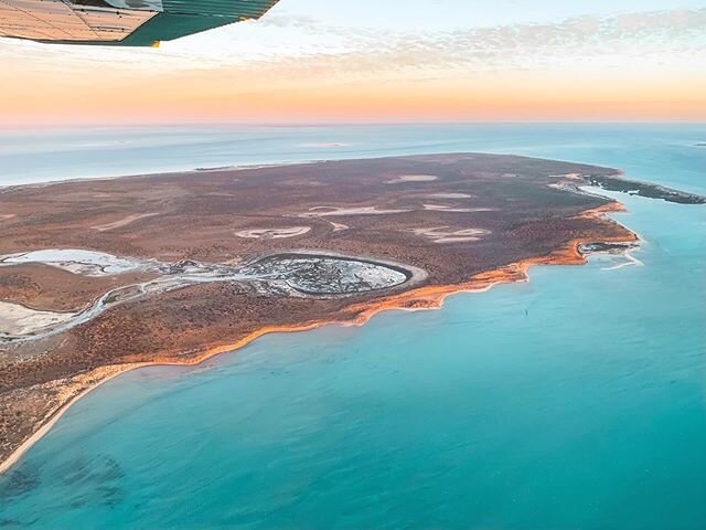 Shark Bay showing off its afternoon colours during our popular sunset flight ☀️✨🛩